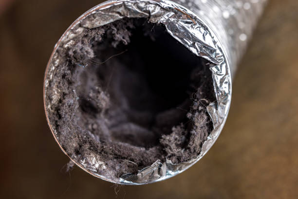 Best Commercial Air Duct Cleaning  in Maywood, CA