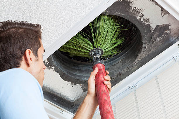 Best Air Duct Cleaning Near Me  in Maywood, CA